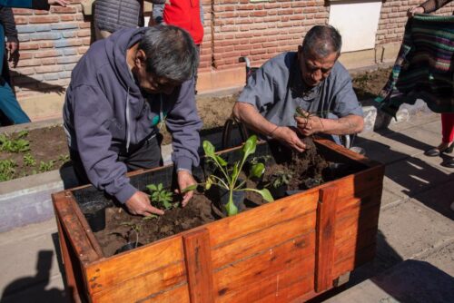 “Huertas saludables” llegó al Hogar de Ancianos Pablo VI