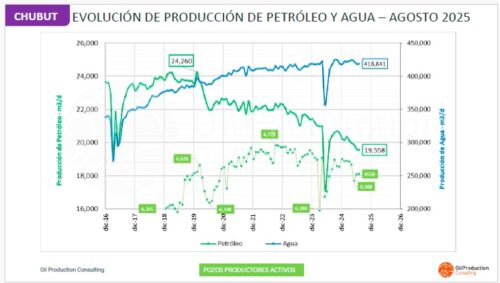 Producción de petróleo y gas en la Cuenca del Golfo San Jorge: Chubut lidera en agosto